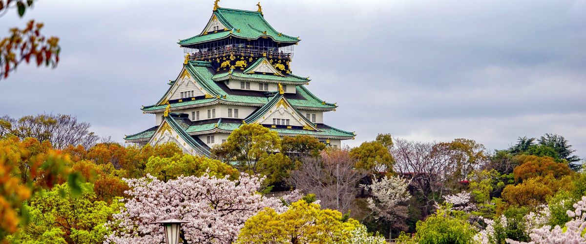 Cherry blossoms Osaka Japan