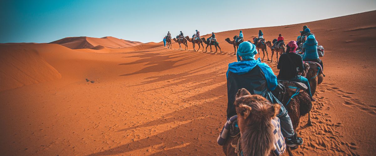 People riding camels in the Sahara Desert Morocco